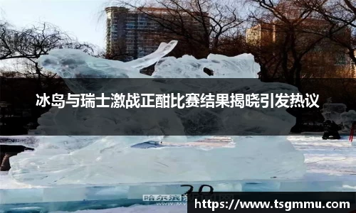 K1体育冰岛与瑞士激战正酣比赛结果揭晓引发热议